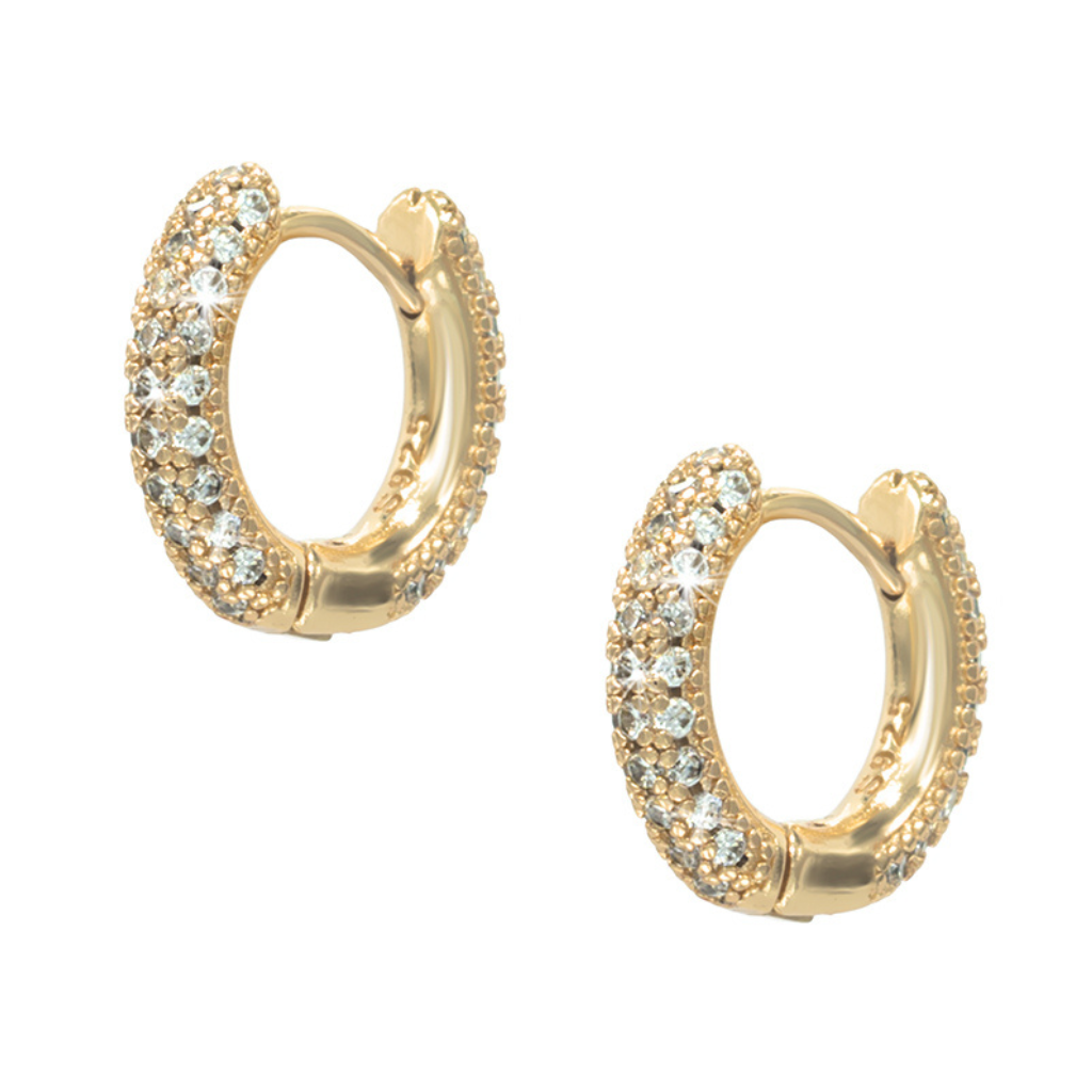 Gold Hoop Earrings 