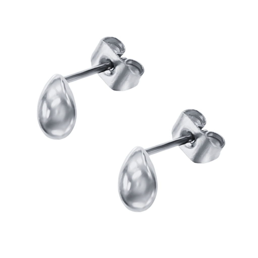 Silver Stud Earrings