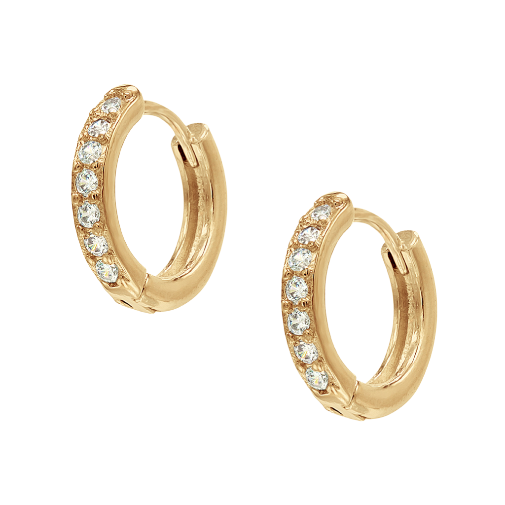 Gold Hoop Earrings