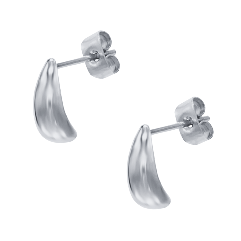 Silver Stud Earrings